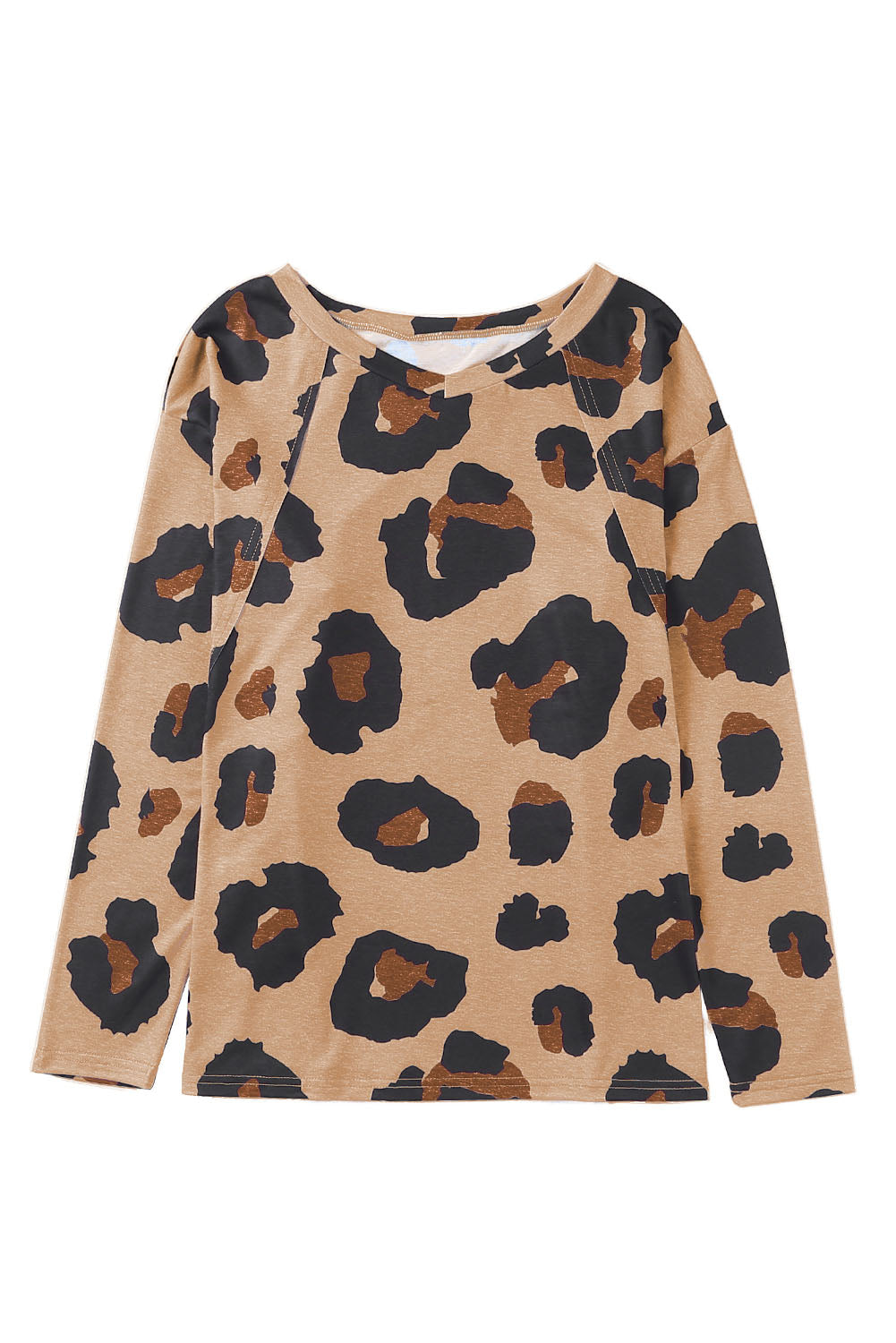 Leopard Print Long Sleeve Loose Top